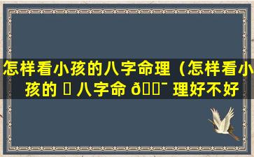 怎样看小孩的八字命理（怎样看小孩的 ☘ 八字命 🐯 理好不好）